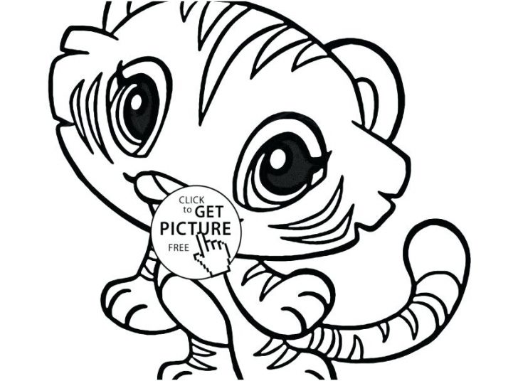 Zoo Cartoon Drawing | Free download on ClipArtMag