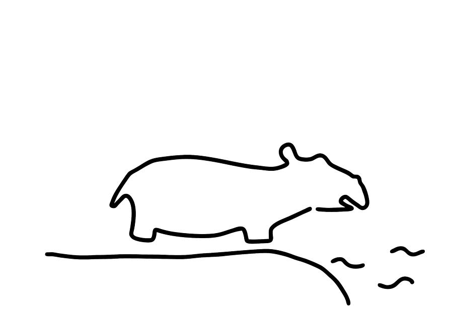 900x635 Hippopotamus Zoo Drawing