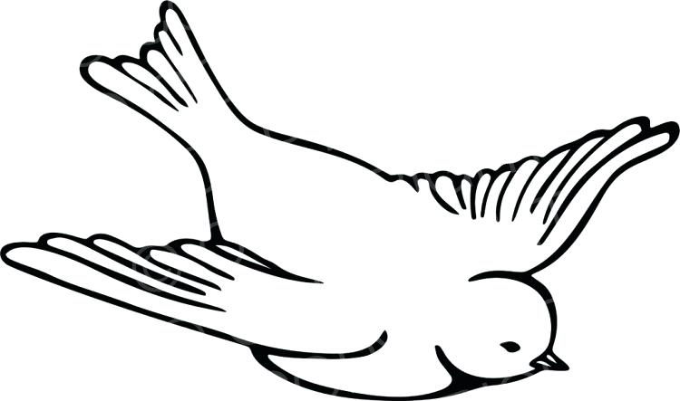 750x443 Zoo Clipart Drawing