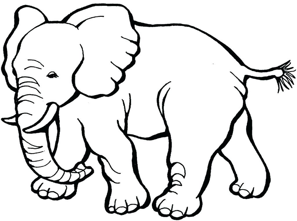 1025x762 Zoo Coloring Pages To Print