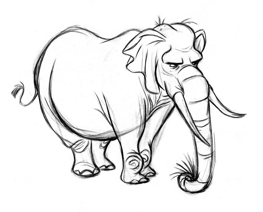 891x717 Blog Of Boris Zoo Trip