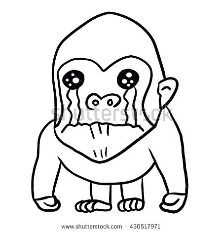 450x470 How To Draw A Gorila More Gorilla Sketches Zoo Draw Gorilla Easy