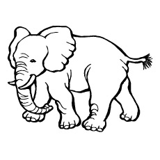 230x230 Top Free Printable Zoo Coloring Pages Online