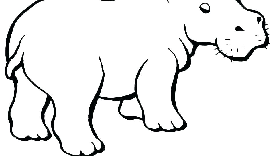 960x544 Free Animal Coloring Printables