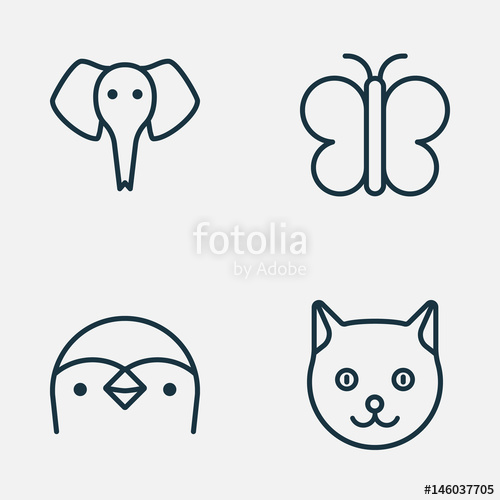 500x500 Zoology Icons Set Collection Of Diver, Kitten, Trunked Animal