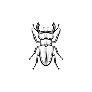 300x300 invertebrate zoology royalty free vectors