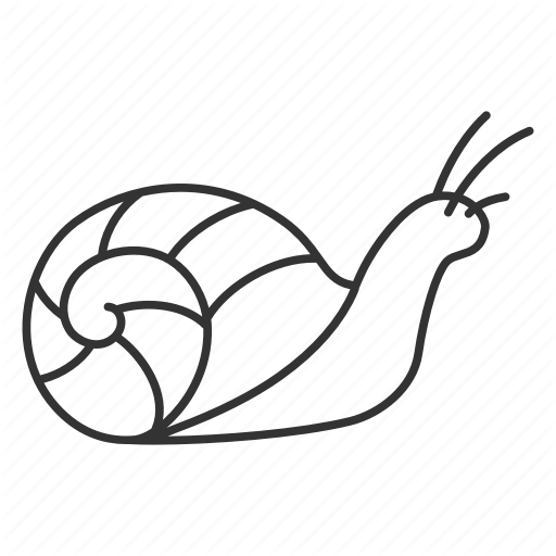 512x512 Animal, Pet, Slug, Snail, Snails, Wildlife, Zoology Icon