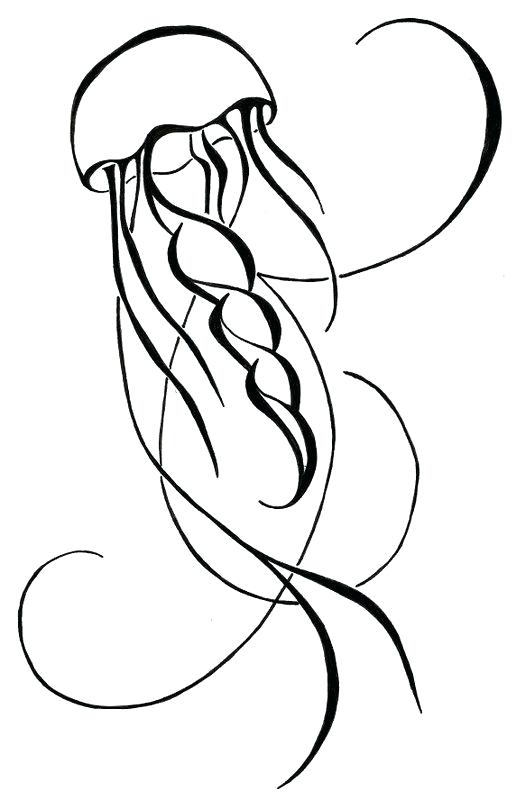 516x800 drawing of a jellyfish jellyfish on jellyfish tattoo jelly fish