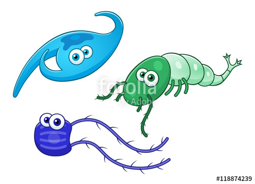 500x360 Marine Zooplankton Drawing