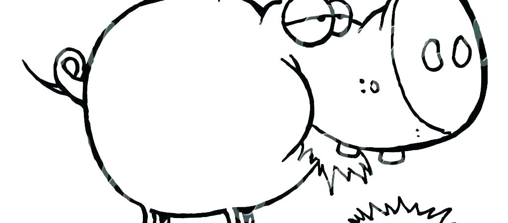 1024x450 Plankton Coloring