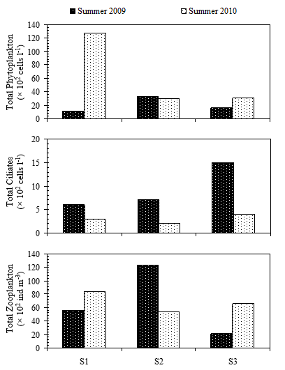 408x531 spatial and annual var iations of the abundance of phytoplankton