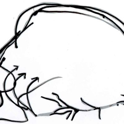 400x400 Susanne Kessler Drawings On Paper