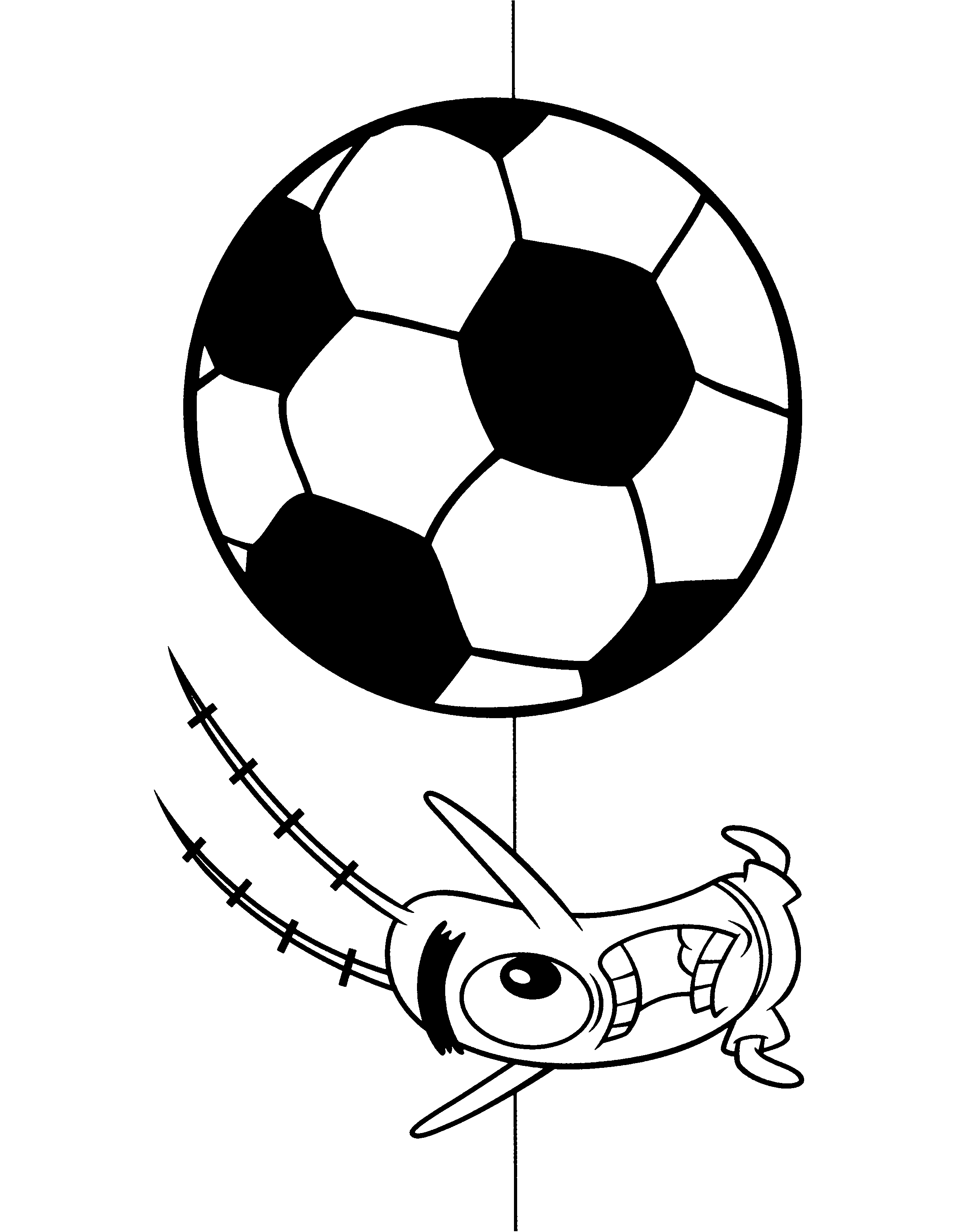 2400x3100 Zooplankton