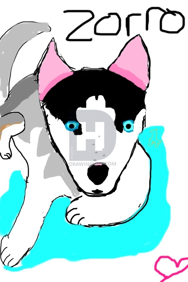 640x960 zorro drawing