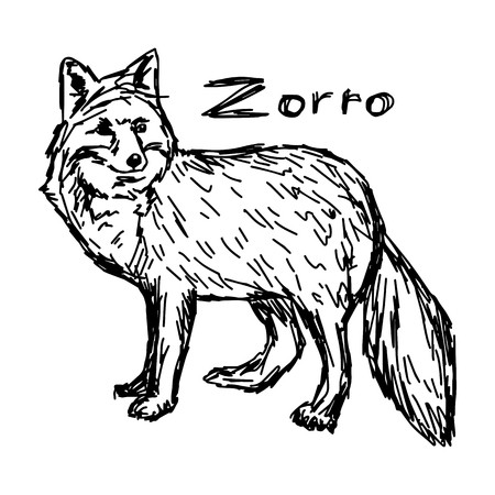 450x450 zorro