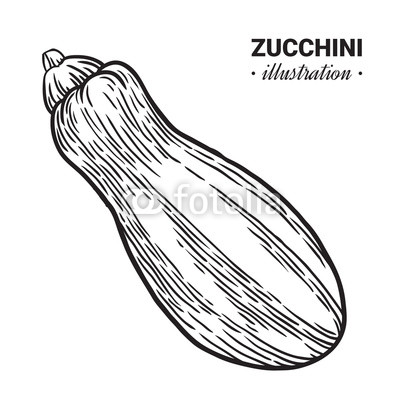 Zucchini Drawing
