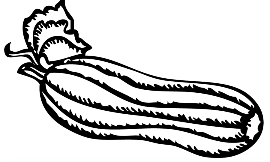 900x540 Drawing, Plant, Leaf, Transparent Png Image Clipart Free Download