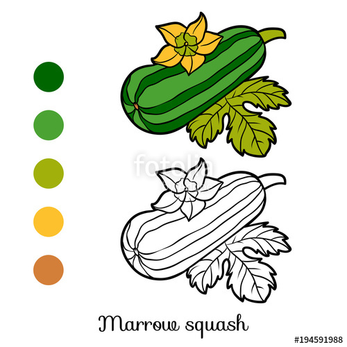 500x500 Free Zucchini Clipart Marrow, Download Free Clip Art