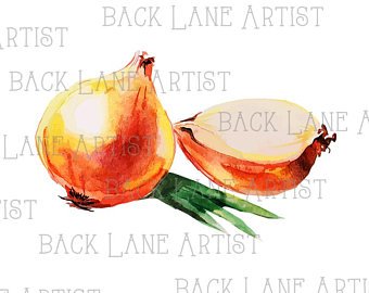 340x270 Vegetables Zucchini Watercolor Drawing Clipart Lineart Etsy