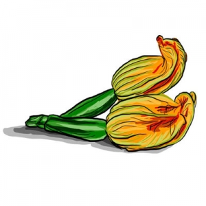 300x300 Zucchini Flowers