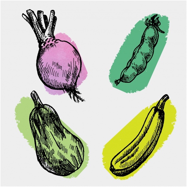 626x626 Zucchini Vectors, Photos And Free Download