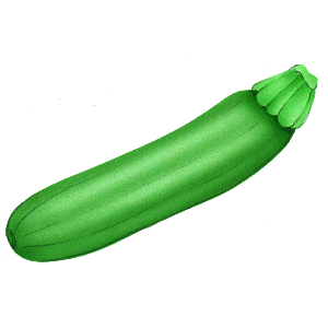 300x300 Zucchini Clipart Free Download Clip Art