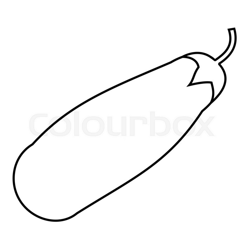 800x800 Zucchini Icon Outline Illustration Of Stock Vector Colourbox