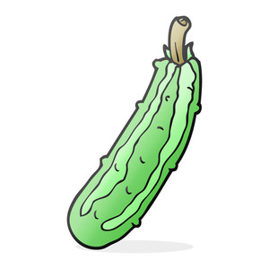 300x300 courgette zucchini royalty free vectors