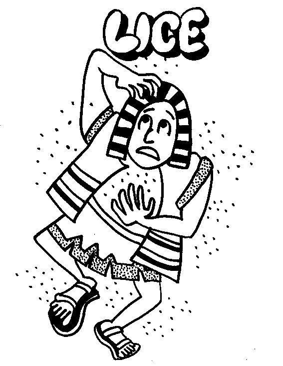 567x731 406 Best Bible