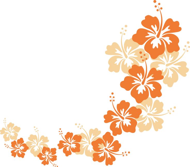 736x648 19 Best Curliques Images Abstract, Boys And Girls