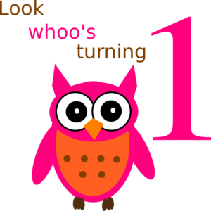 300x300 Owl 1st Birthday Clip Art