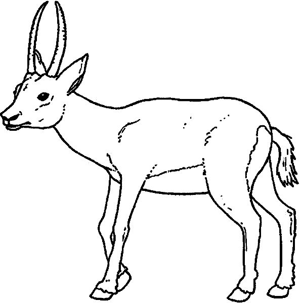 1st Grade Coloring Pages