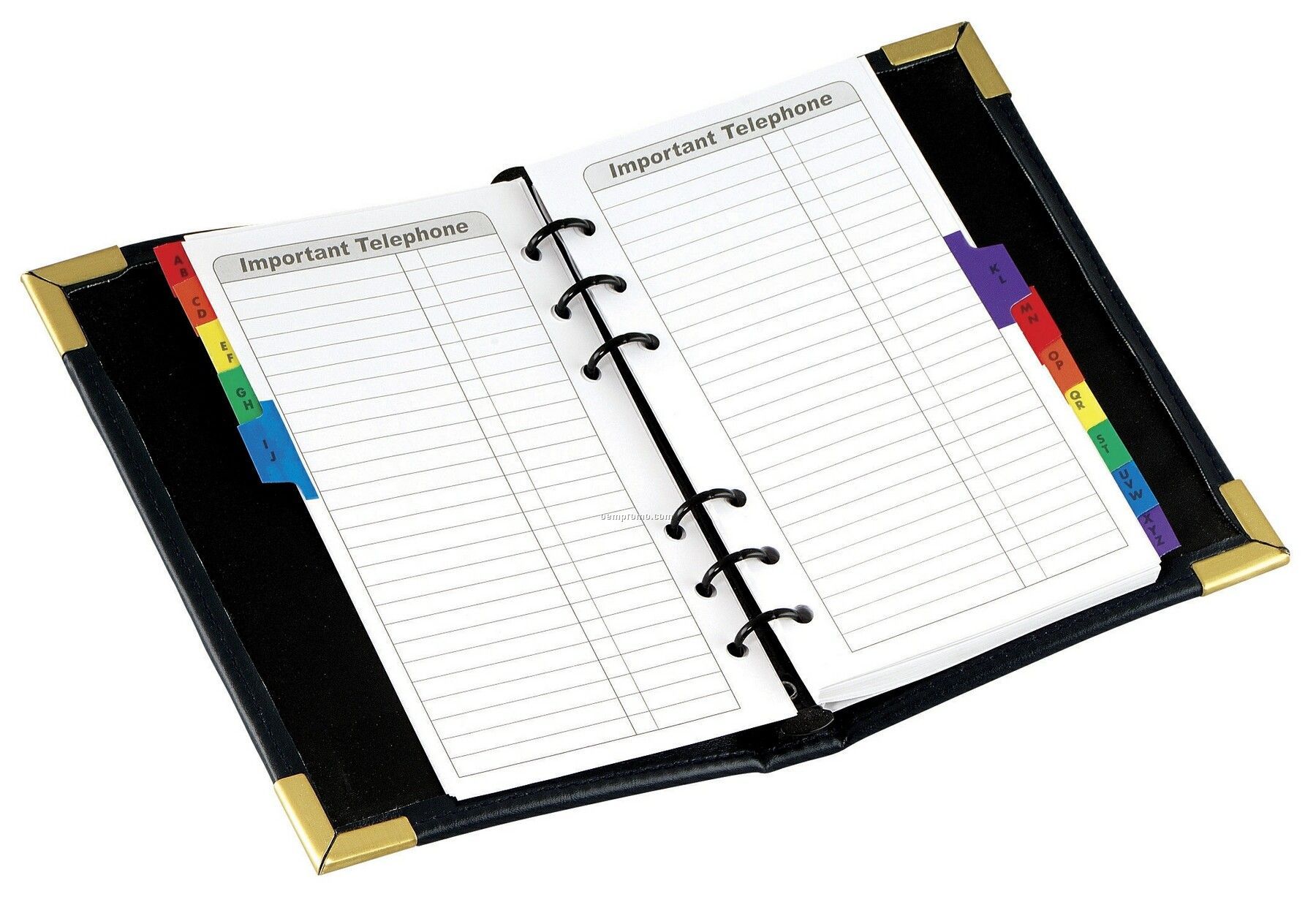 1800x1234 Bobook Clipart Six