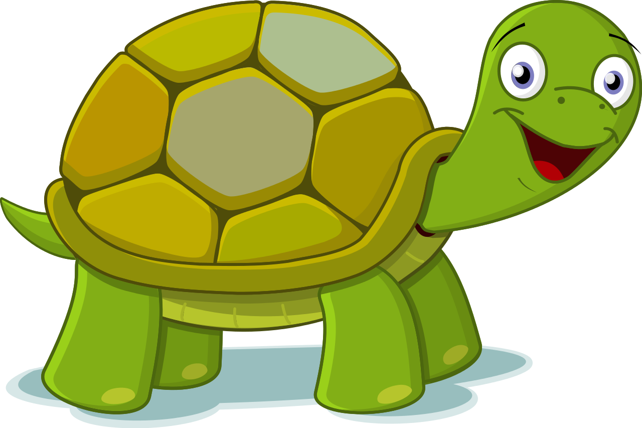 1280x853 Top 81 Turtle Clip Art