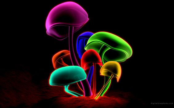 564x352 Cool 3d Wallpaper Mushrooms Wallpapers Desktop Wallpapers