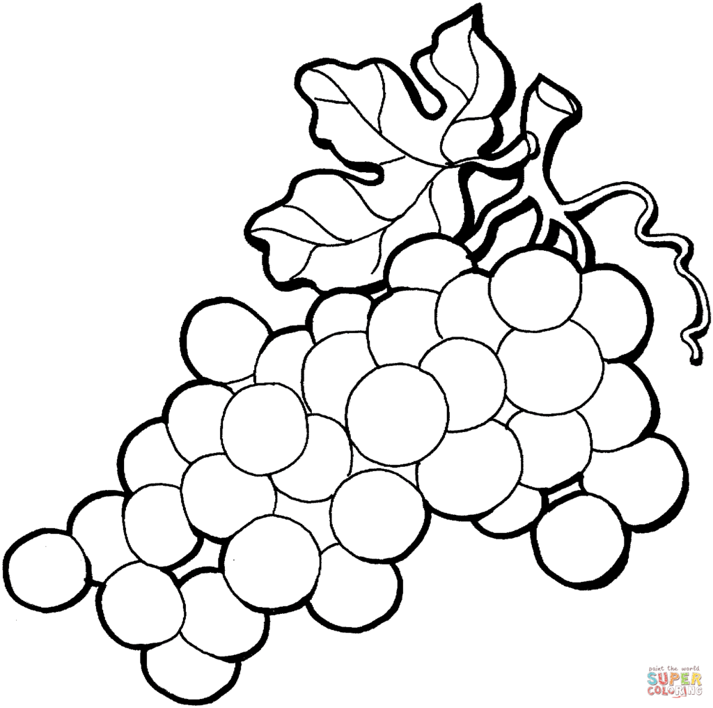 1024x1016 Grape 4 Coloring Page Free Printable Coloring Pages Free Coloring