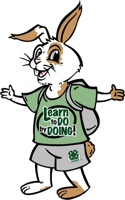 400x639 Rabbit Clipart 4 H