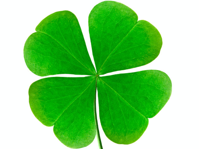 640x480 Four Leaf Clover