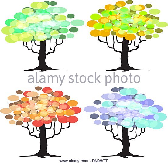 553x540 Four Seasons Tree Stock Vector Images