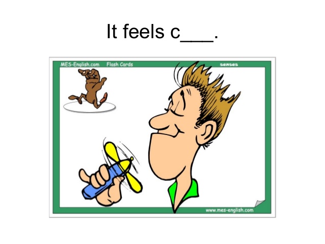 638x479 5 Senses Flashcards Sentences