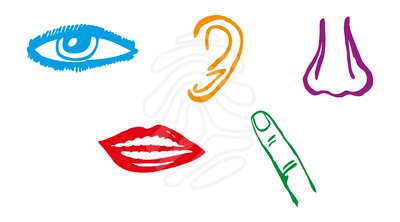 400x222 Five Senses Clipart