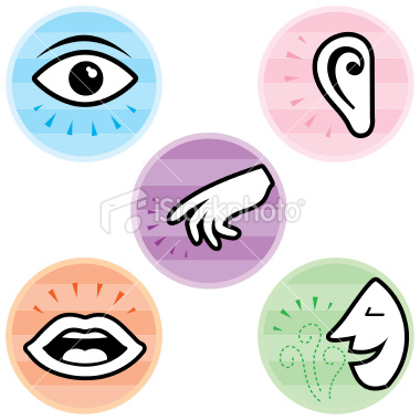 380x380 Five Senses Clipart