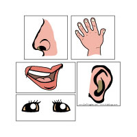 200x200 Five Senses Games Clipart Panda