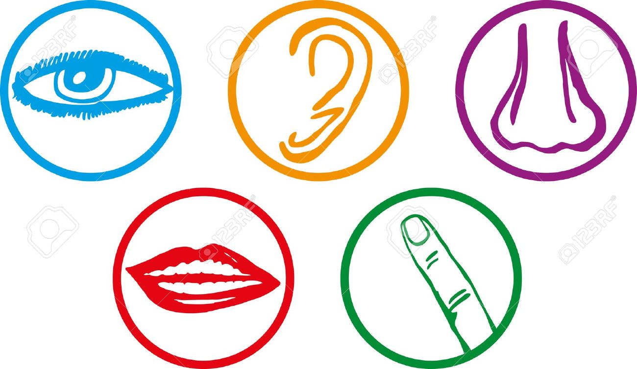 1300x754 The Five Sense Illusion