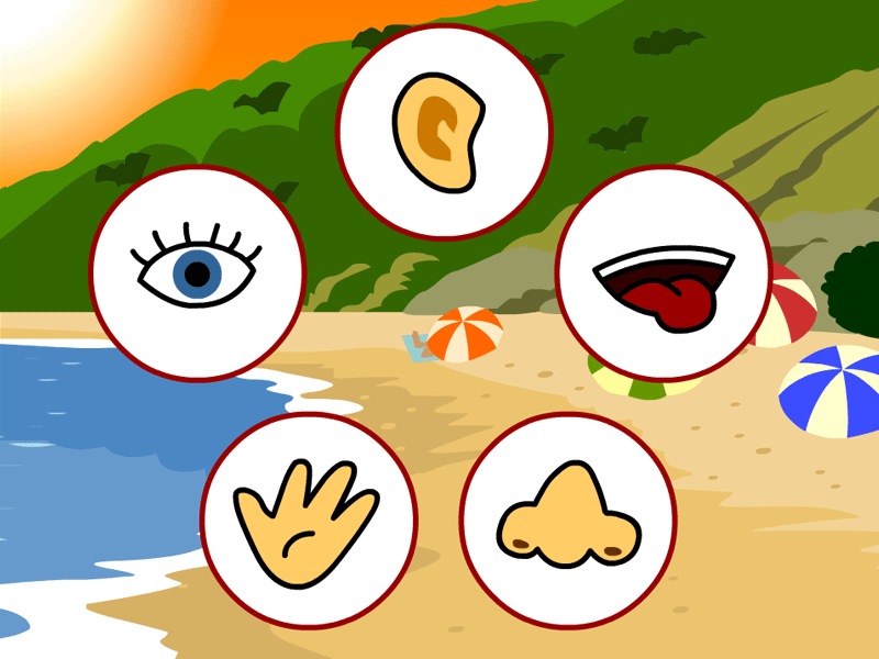 800x600 5 Senses Clip Art