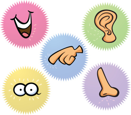 441x389 5 Senses Clip Art Many Interesting Cliparts