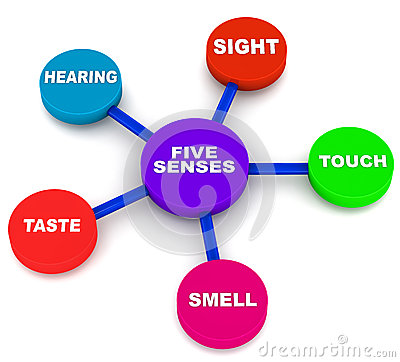 400x362 Clipart 5 Senses