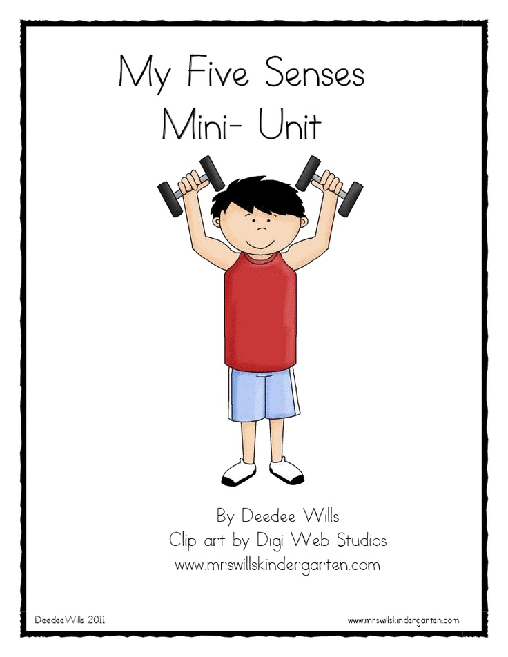 736x952 39 Best 5 Senses Images School, Autism And Book