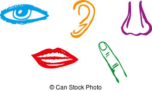 300x181 Five Senses Clip Art