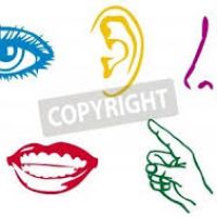 200x200 5 Senses Clipart